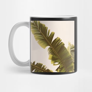 Heredity Mug